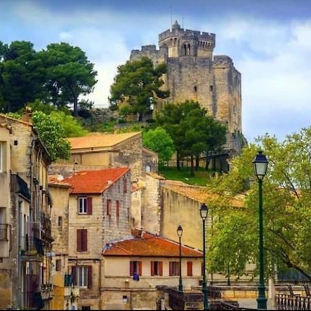 La Cigale Apartment Beaucaire  Bagian luar foto